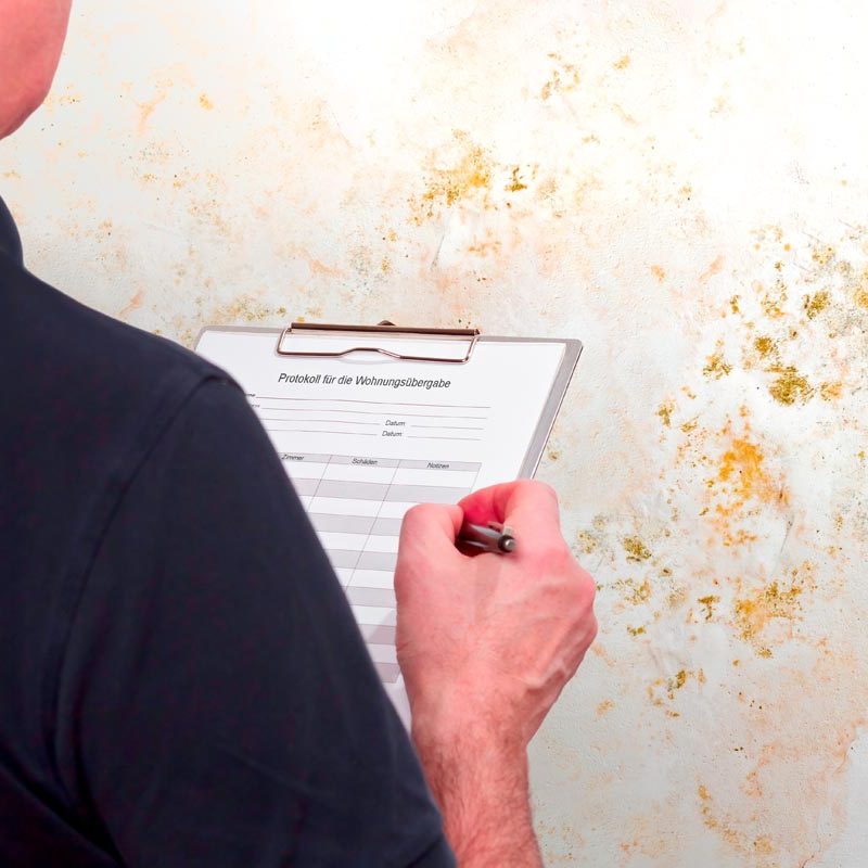 high,humidity,damage,concept:,man,with,a,german,inspection,checklist